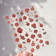 1PCS 5
