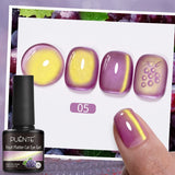 7.5ml Late Summer Fruit Series Cat Eye Magnetic Gel Nail Polish