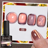 7.5ml Late Summer Fruit Series Cat Eye Magnetic Gel Nail Polish